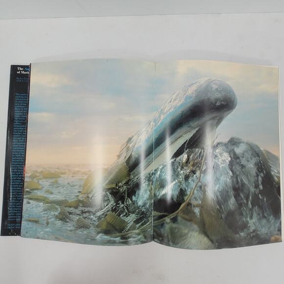 Audubon Society Marine Wildlife Book Les Line 1980‎ Coastal Nature Ocean Guide - Picture 10 of 12
